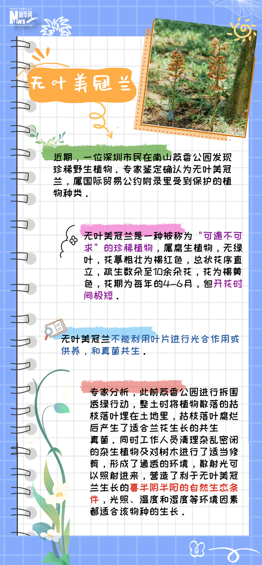 2.JPG 2.JPG