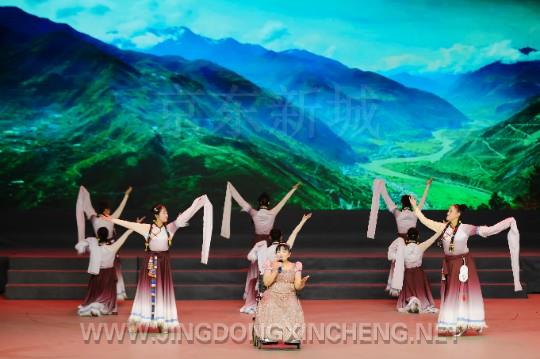 圖為殘疾人文藝晚會(huì)活動(dòng)現(xiàn)場(chǎng)。何賽 攝 (3).jpg