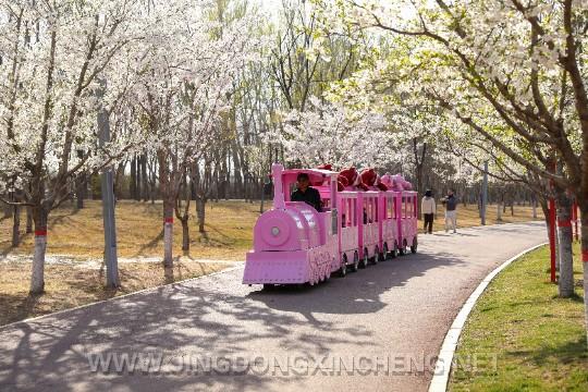 游客在潮白河櫻花公園乘坐纜車觀光。潘宇杰攝.jpg 游客在潮白河櫻花公園乘坐纜車觀光。潘宇杰攝.jpg